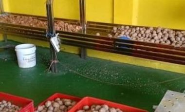DIJUAL PABRIK MAKANAN AKTIF JOMBANG
