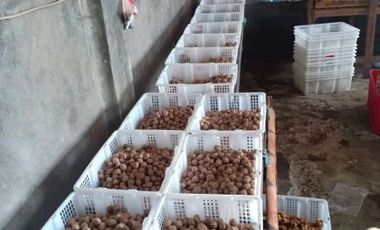 DIJUAL PABRIK MAKANAN AKTIF JOMBANG