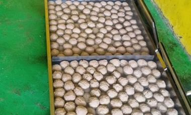 DIJUAL PABRIK MAKANAN AKTIF JOMBANG