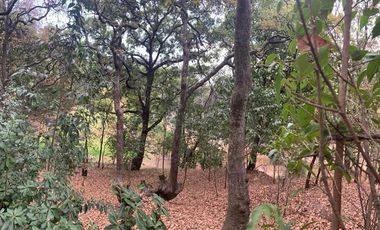 TERRENO EN VENTA CUMBRES SANTA FE