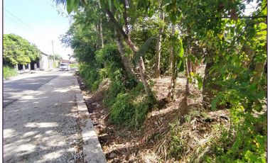 Perumahan Elite Gaya Limasan Klasik Di The House Of Arjuna