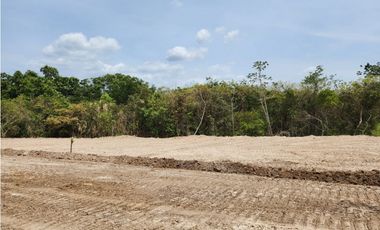 Se Venden Lotes Campestres desde 1,000 Mts usd$25,000,oo San Carlos