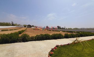 Huaral Aucallama - Condominio Altamira Terrenos Para Casa De Campo, Habilitación Urbana.