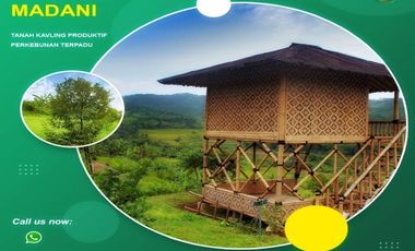 Ampun Murah Banget | Dijual Tanah Kebun Produktif di Bogor