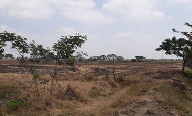 Terreno en venta en Cantón Daule, Guayas