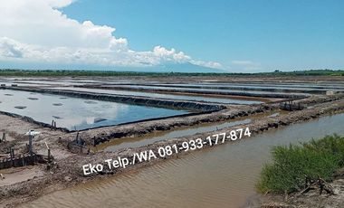 Dijual MURAH Tambak Tradisional Rp. 35rb/m2 SHM-Lombok Timur