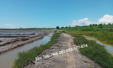 Dijual MURAH Tambak Tradisional Rp. 35rb/m2 SHM-Lombok Timur