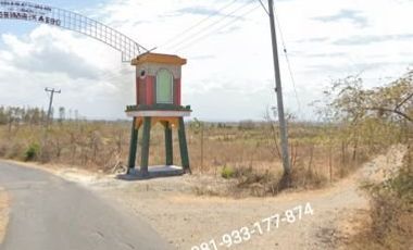 Dijual MURAH Tambak Tradisional Rp. 35rb/m2 SHM-Lombok Timur