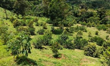 Tanah Kebun Luas 45 Juta di Bogor Timur