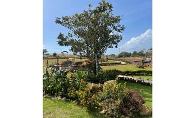 Chica Proyecto / Terreno y Casas