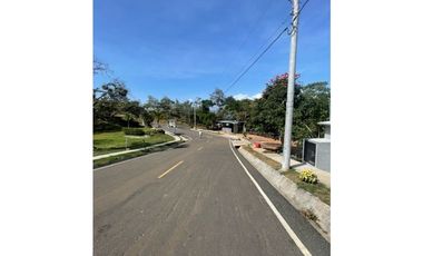 Chica Proyecto / Terreno y Casas