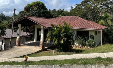 Chica Proyecto / Terreno y Casas