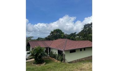 Chica Proyecto / Terreno y Casas