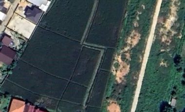 Land for sale in San Sai Luang, Chiang Mai