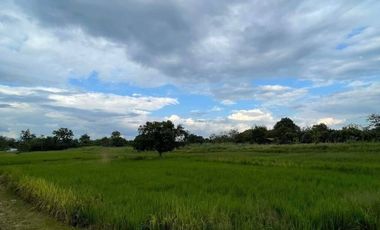 Land for sale in San Sai Luang, Chiang Mai