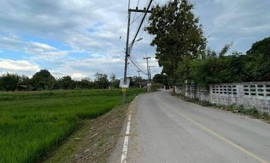 Land for sale in San Sai Luang, Chiang Mai