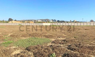 Se arrienda terreno comercial en la Ruta 5