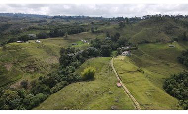 VENTA DE FINCA, FILANDIA, QUINDIO, COLOMBIA.