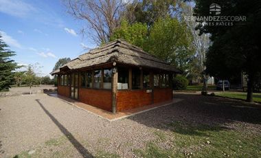 FERNANDEZ POEPPEL Vende Terreno 7,5 Ha Coquimbito Maipu