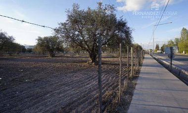 FERNANDEZ POEPPEL Vende Terreno 7,5 Ha Coquimbito Maipu