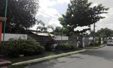 Commercial Lot with Improvements for Sale Located in Malaban