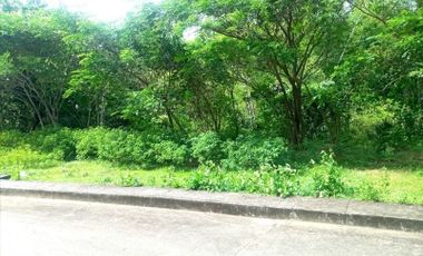 MOST AFFORDABLE 168 SQM Lot for Sale in Greenwoods Subdivision near Talamban Cebu City