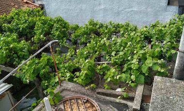 Casa en venta en Don Bosco Este