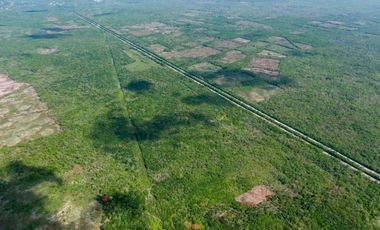 Rancho en Venta en zona Oriente del estado de Yucatán.