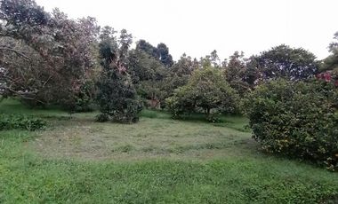 lote en venta en ruitoque. Cod V1410214