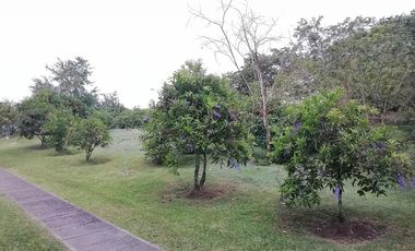 lote en venta en ruitoque. Cod V1410214