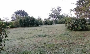 lote en venta en ruitoque. Cod V1410214