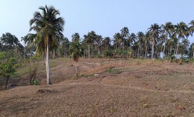 Cheap Land For Sale 500 Hectares in Agrabinta Cianjur City