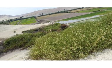 VENTA TERRENO AGRÍCOLA EN LA ENSENADA - MEJA
