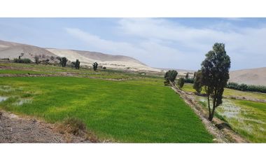 VENTA TERRENO AGRÍCOLA EN LA ENSENADA - MEJA
