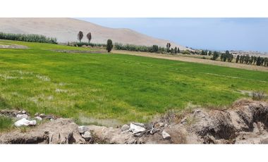VENTA TERRENO AGRÍCOLA EN LA ENSENADA - MEJA