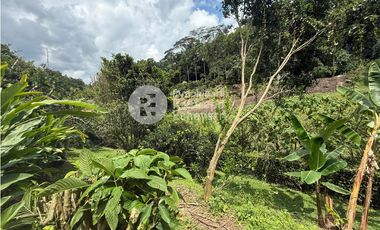 Casa en conjunto en arriendo, San Bernardo del Viento, Manizales