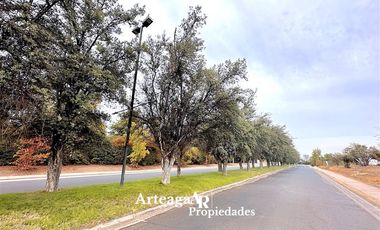 Sitio en venta, Polo Manquehue, Piedra Roja, Chicureo Orient