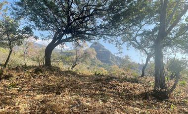 Terreno en venta en Tepoztlán Morelos, ideal para amantes de la naturaleza