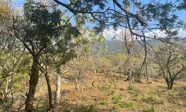 Terreno en venta en Tepoztlán Morelos, ideal para amantes de la naturaleza