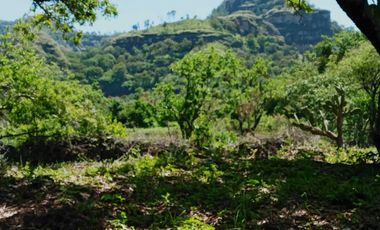 Terreno en venta en Tepoztlán Morelos, ideal para amantes de la naturaleza