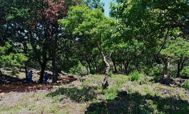 Terreno en venta en Tepoztlán Morelos, ideal para amantes de la naturaleza