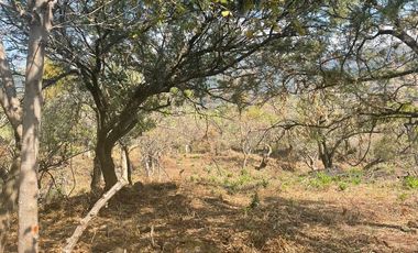 Terreno en venta en Tepoztlán Morelos, ideal para amantes de la naturaleza