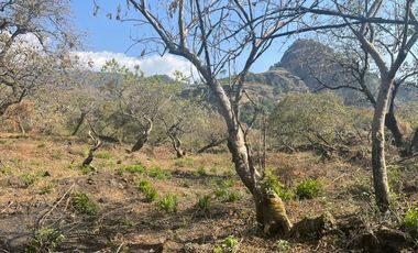 Terreno en venta en Tepoztlán Morelos, ideal para amantes de la naturaleza
