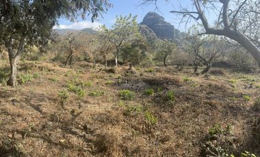 Terreno en venta en Tepoztlán Morelos, ideal para amantes de la naturaleza