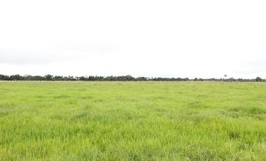 VENTA de LOTES en VILLAVICENCIO