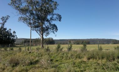 QUNTA 5 HAS.  IDEAL EMPRENDIMIENTO AGRO-INDUSTRIAL.