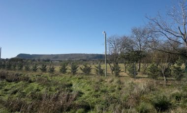 QUNTA 5 HAS.  IDEAL EMPRENDIMIENTO AGRO-INDUSTRIAL.