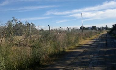 QUNTA 5 HAS.  IDEAL EMPRENDIMIENTO AGRO-INDUSTRIAL.