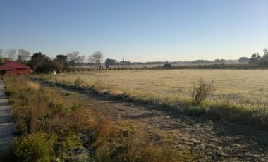 QUNTA 5 HAS.  IDEAL EMPRENDIMIENTO AGRO-INDUSTRIAL.