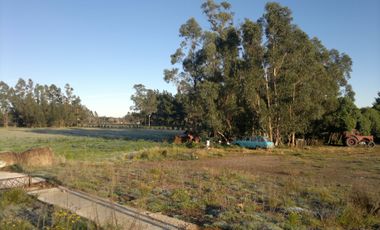 QUNTA 5 HAS.  IDEAL EMPRENDIMIENTO AGRO-INDUSTRIAL.